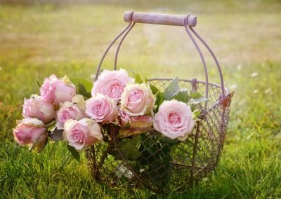 home-page-flowers-image