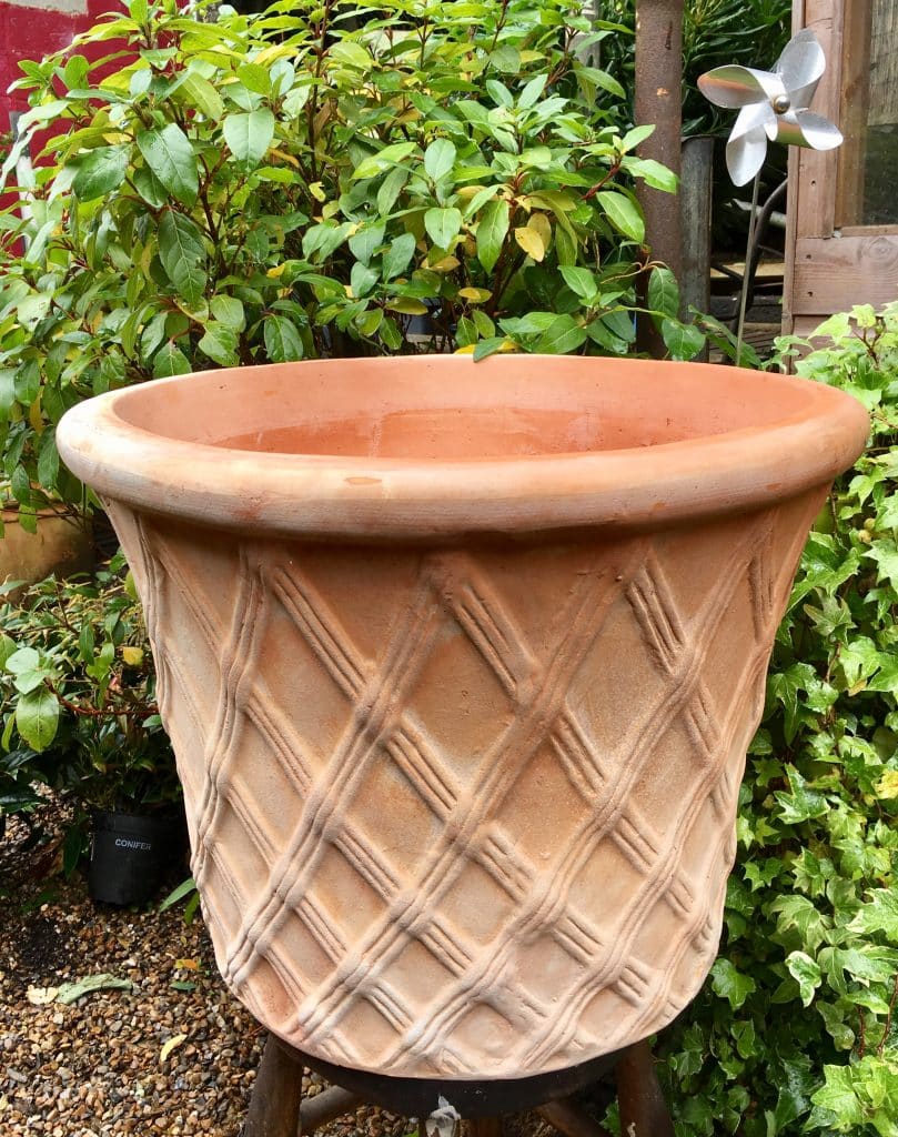 Terracotta Pot with Lattice Motif Battersea Flower Station