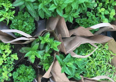 bag-of-herbs